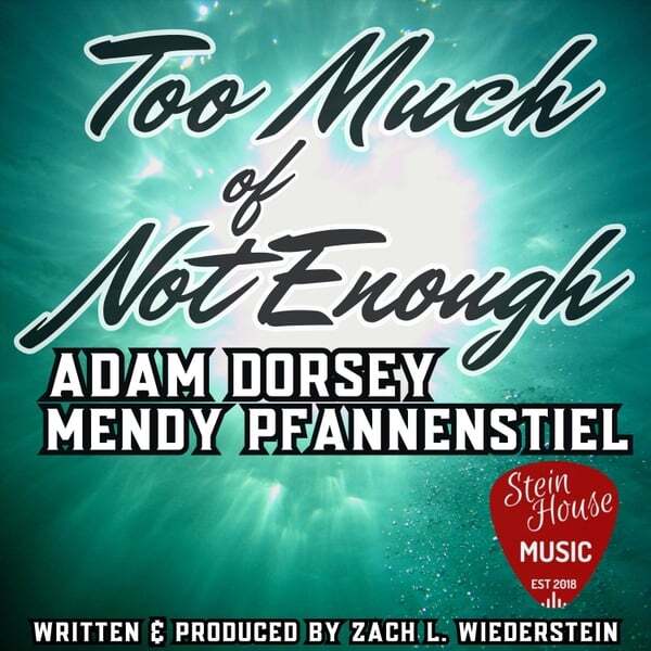 Cover art for Too Much of Not Enough